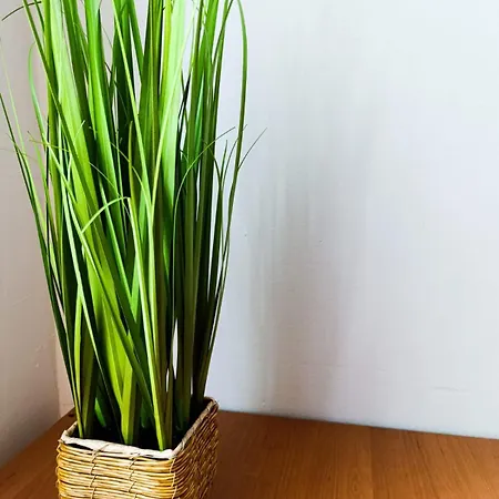 Center 4-person * Ljubljana