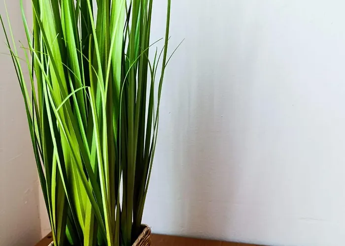 Center 4-person * Lublaň